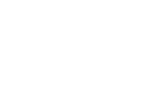 BNI Asset Management